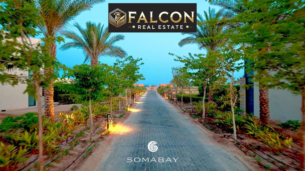 2 WhatsApp Image 2025-10-06 at 3.24. 42 PM. jpeg