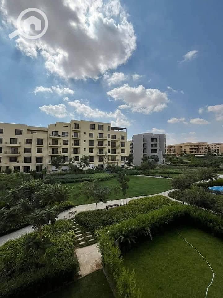 8 490208797_1023403239723550_3823700083609098285_n. jpg