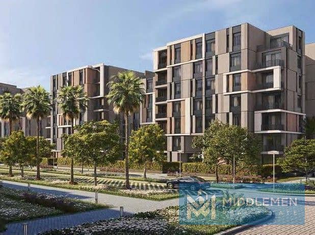 4 8ff61eff-f7cc-4e08-b893-a14b1ba72f4c. jpg