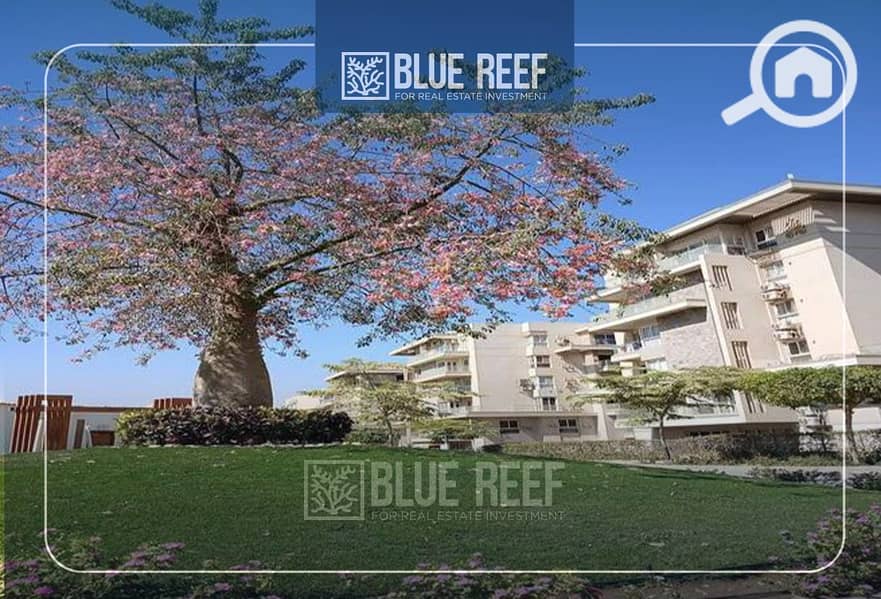 9 ءءؤ - Copy. jpg