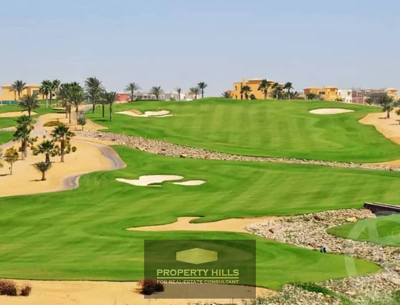 10 8515055c-6caf-4fdf-845c-a8ccd6f7ffb0. jpg