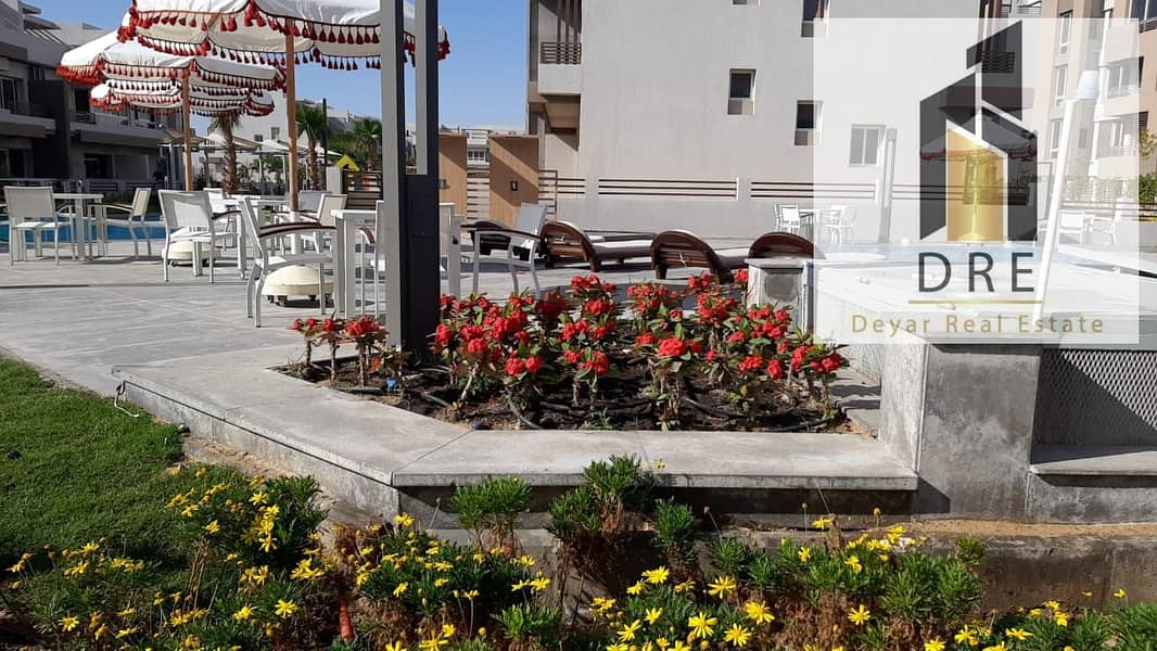 3 06374c99-c92f-4f0d-a08e-3df9d5d2f29a. jpg