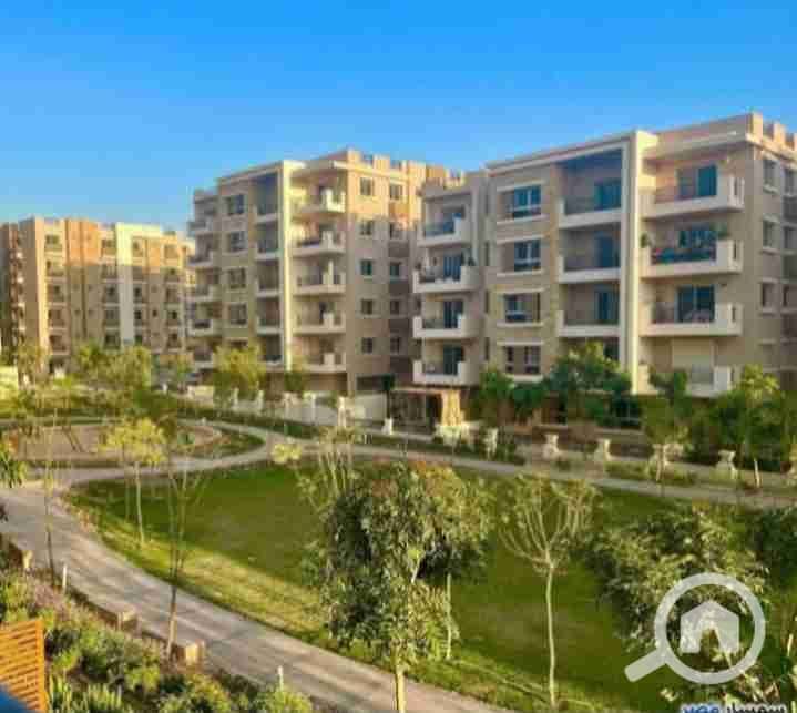 18 IMG_٢٠٢٥١٠٠٣_١٩٠٤٠٧. jpg