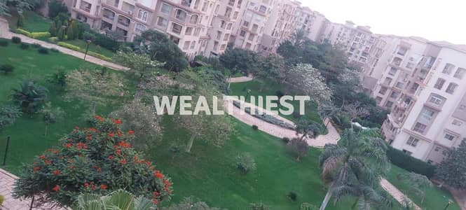 3 Bedroom Apartment for Rent in Madinaty, Cairo - WhatsApp Image 2025-11-11 at 9.25. 50 PM. jpeg