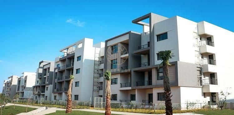 7 988c585a-ca83-4152-93a3-bed5f7a5f411. jpeg