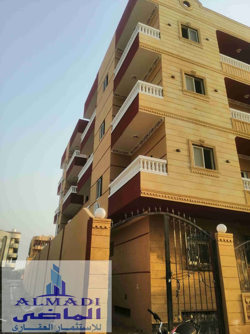 4 IMG_20251105_160043. jpg