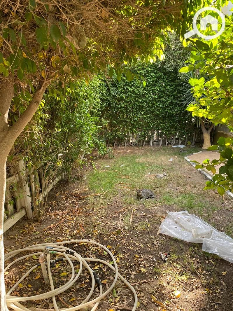 10 d9c0ad1d-218c-4e1f-a12c-4ad1ae73a45e. jpeg