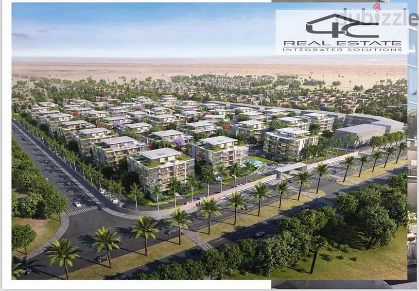 3 95464015-800x600. jpeg