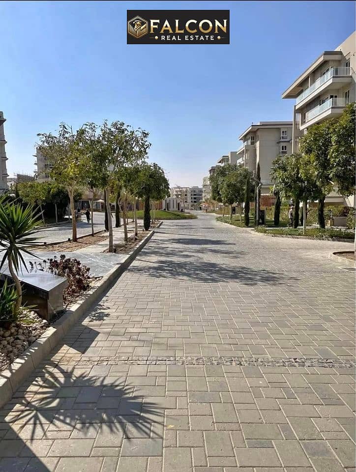 8 344183121_5539561772810472_8573117904830429829_n. jpg