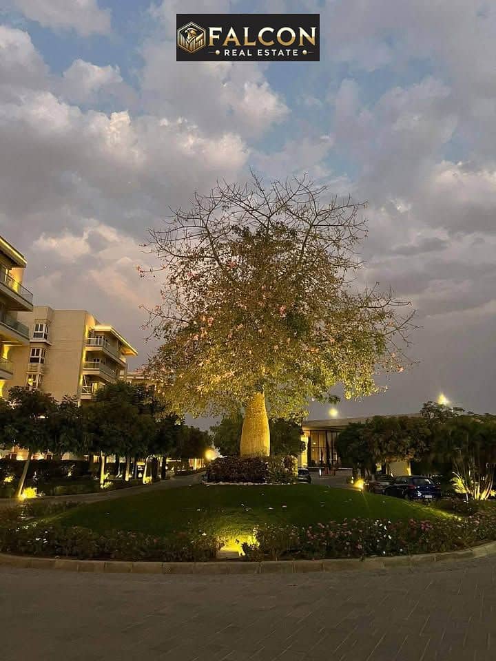 9 577793025_1524248672140664_7460199403912696256_n. jpg