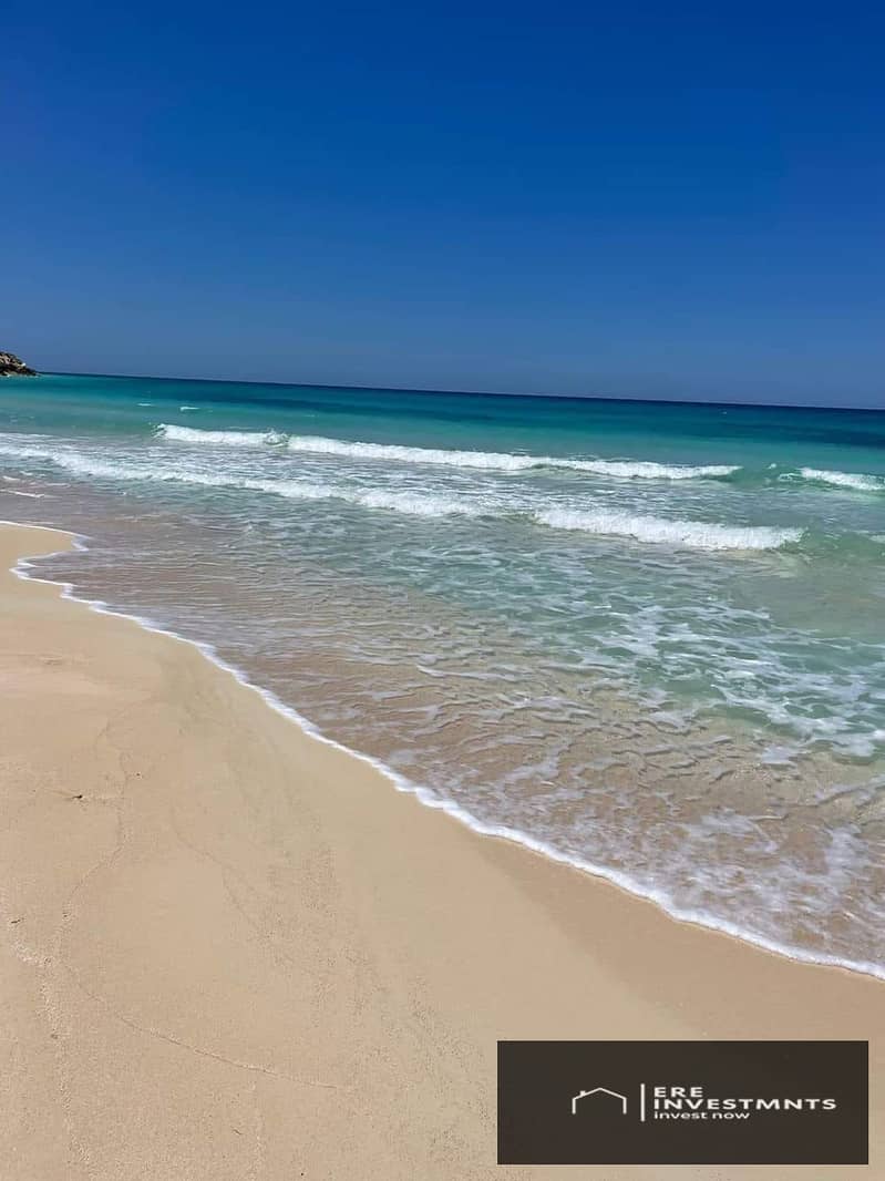 6 474706413_496408280169198_7861450876639031901_n. jpg