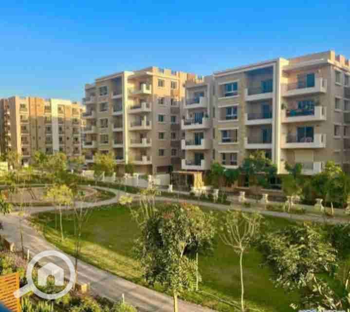 7 IMG_٢٠٢٥١٠٠٣_١٩٠٢٣٨. jpg