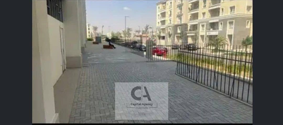 4 photo_2025-06-27_04-03-13. jpg