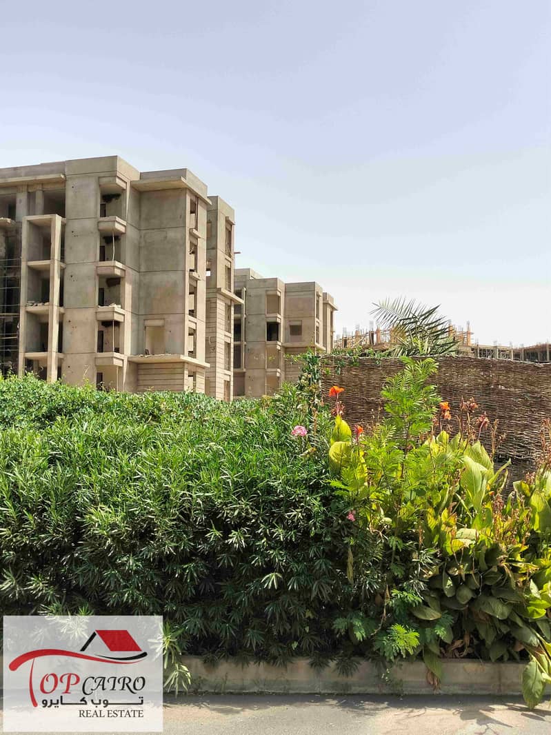 3 IMG20250729150035. jpg