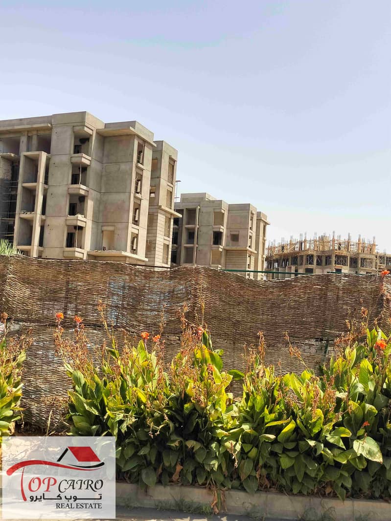 4 IMG20250729150051. jpg