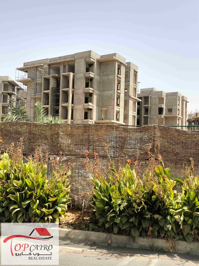 5 IMG20250729150055. jpg