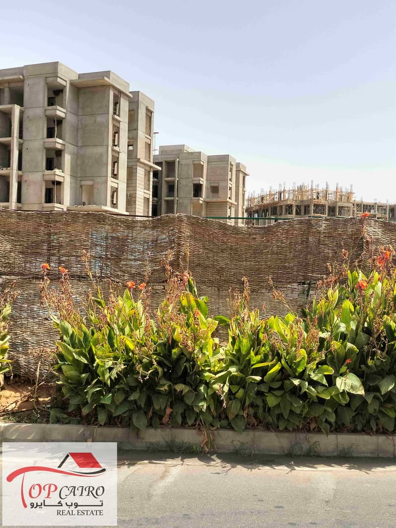 6 IMG20250729150058. jpg