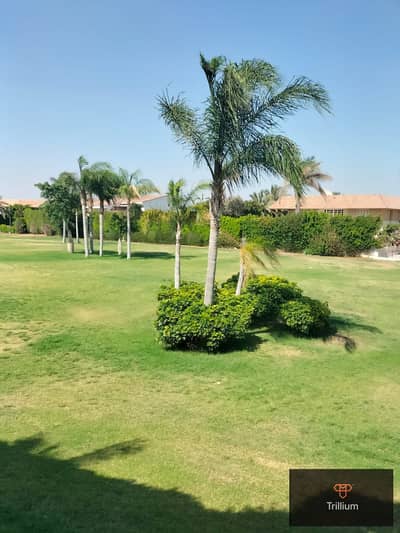 4 Bedroom Twin House for Sale in Sheikh Zayed, Giza - 492012248_1915542549189304_367552130690010103_n. jpg