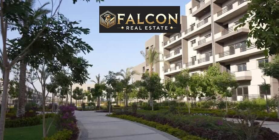 9 559575869_24989590294011418_3926939355500103739_n. jpg