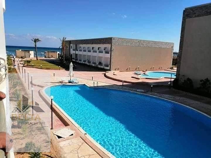 WhatsApp Image 2025-11-12 at 1.03. 19 PM (1). jpeg WhatsApp Image 2025-11-12 at 1.03. 19 PM (1). jpeg