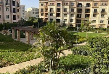 3 WhatsApp Image 2025-09-23 at 2.03. 31 PM (2). jpeg