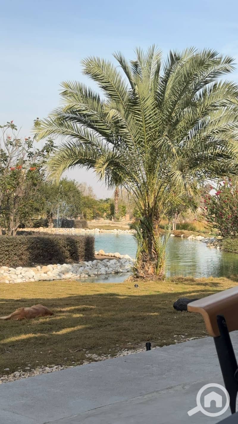 10 54289e2b-eb57-49b1-afc7-2fe7b472058f. jpg