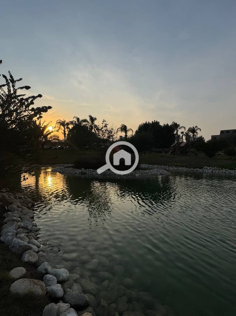 11 a0856959-fa12-4616-a31d-fdc2af4e16bc. jpg