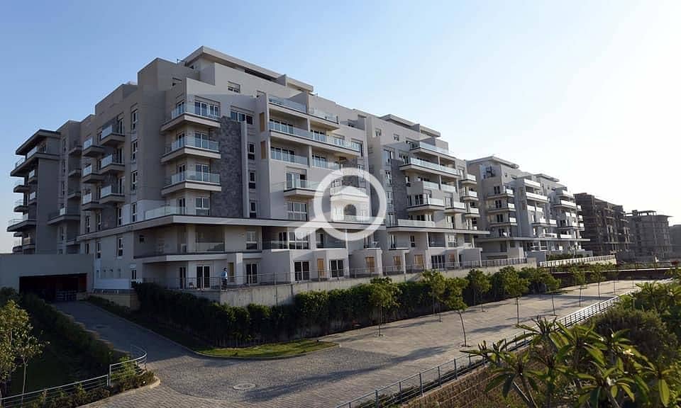 12 WhatsApp Image 2025-08-31 at 20.15. 09_fce8683a. jpg