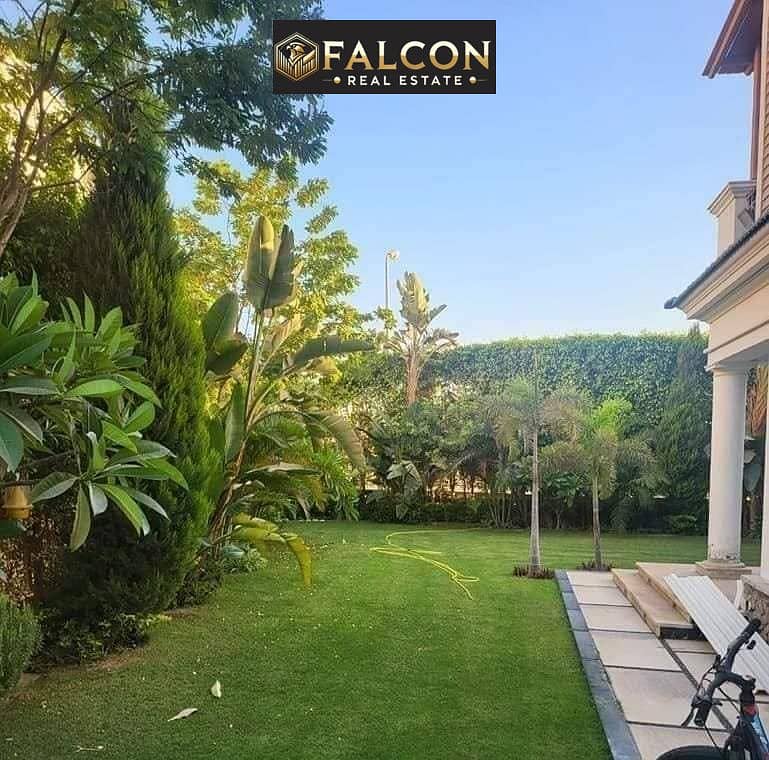 3 456118384_1232112571146314_3607595611276051757_n. jpg