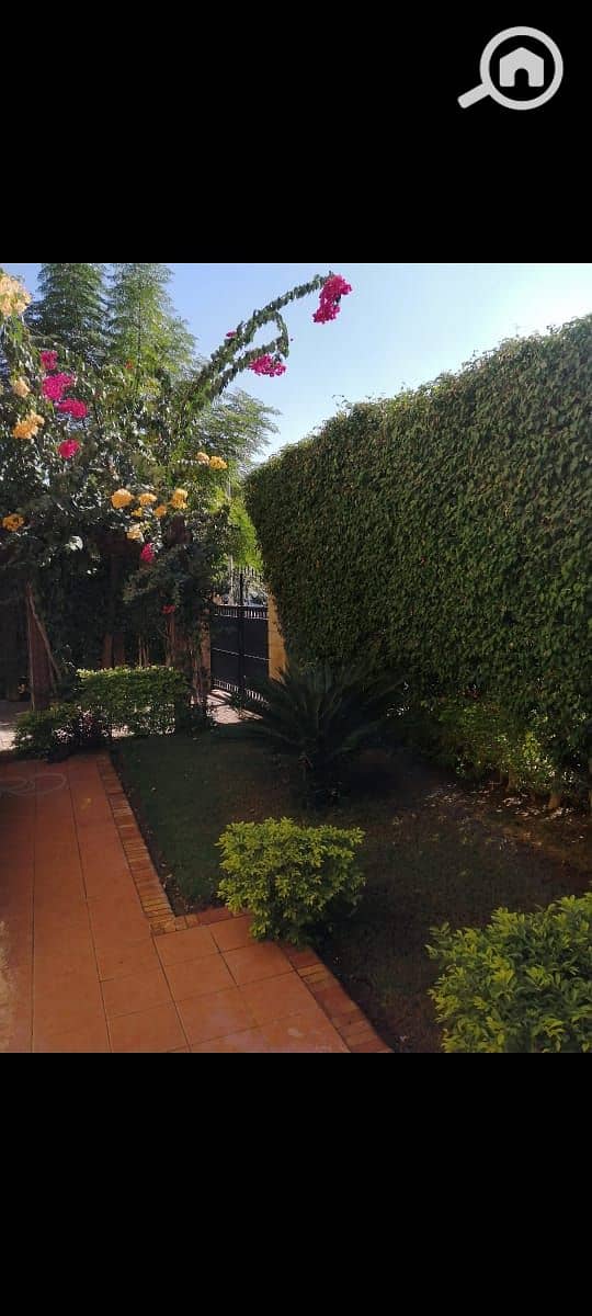 8 95e31357-ec6f-4abc-ae78-f5e1fe15138c. jpg