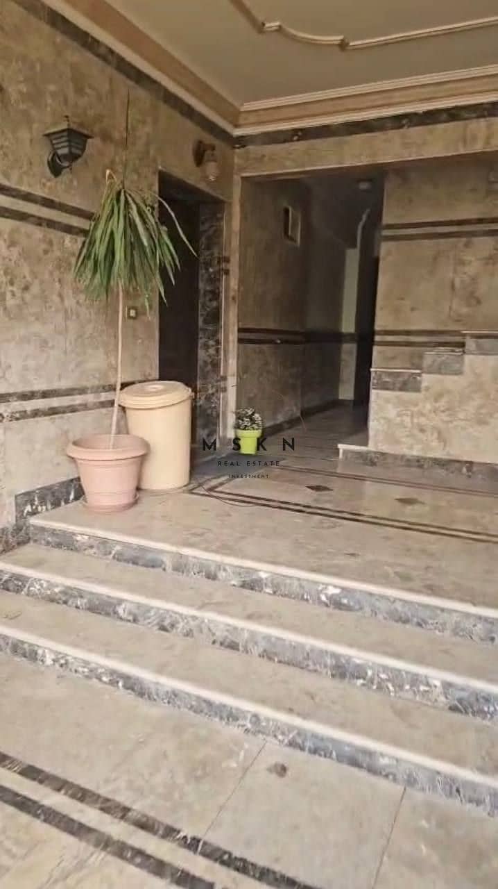 4 photo_2025-11-12 14.44. 41. jpeg