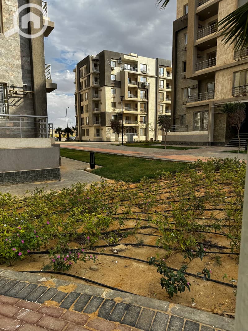 9 971788ba-2a0e-4d12-b900-eae88c5fd7d8. jpeg