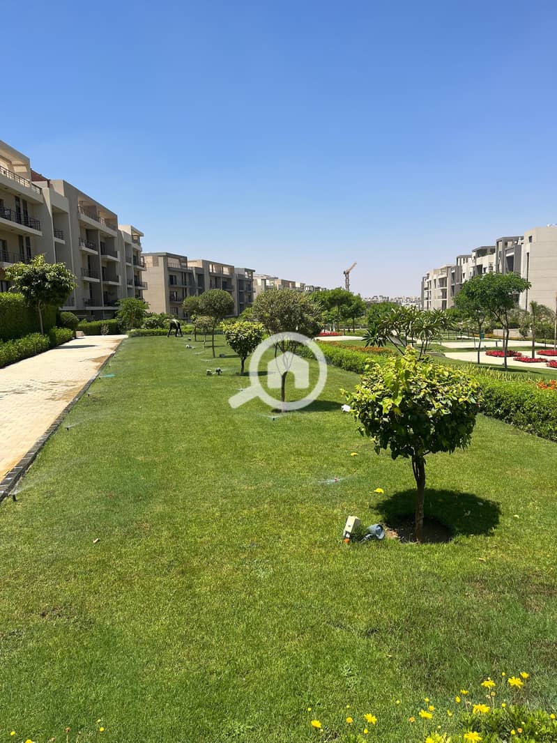 5 297021ea-7242-498e-bf7f-202463464181. jpg