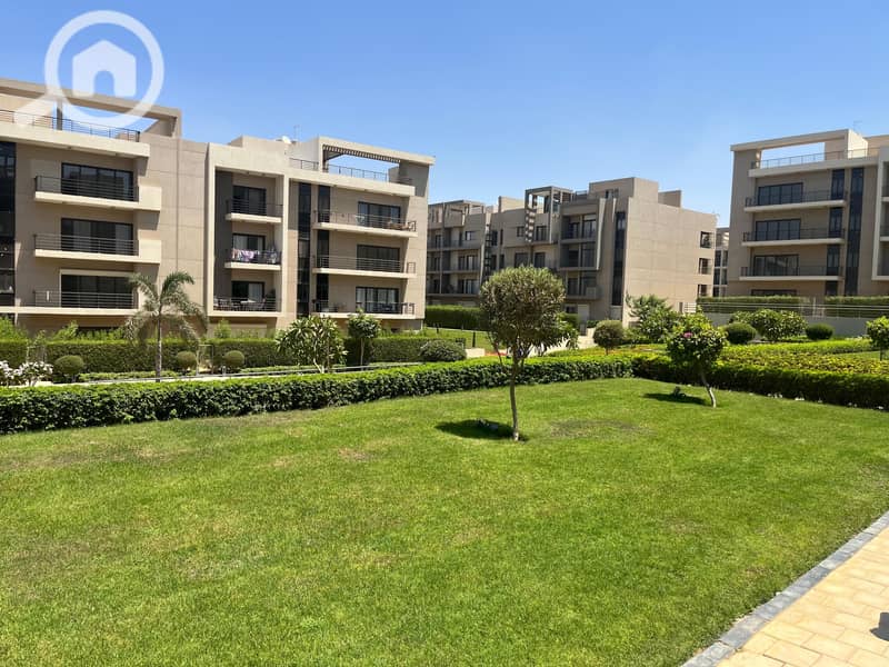 6 619419ac-c87f-41fe-809b-a1ffe1cf9068 (1). jpg