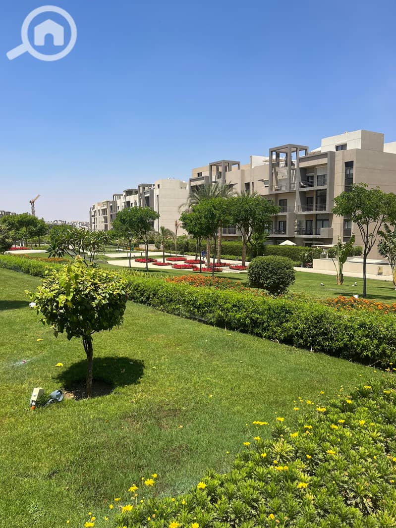 12 e684f1e9-d9a9-4e1f-8373-3747a1e49bf0. jpg