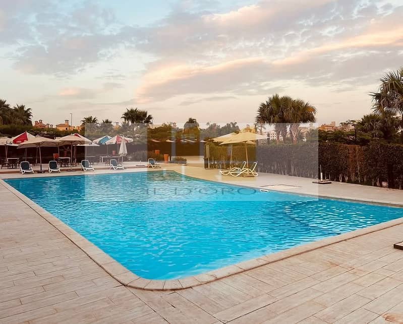 6 WhatsApp Image 2025-11-11 at 5.29. 19 PM. jpeg