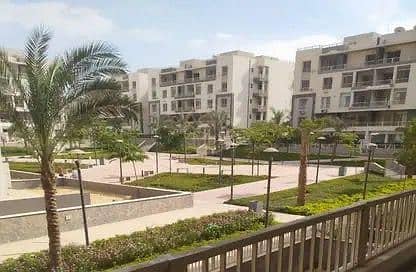 10 WhatsApp Image 2025-11-12 at 3.08. 58 PM. jpeg