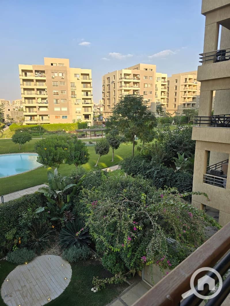 17 صورة واتساب بتاريخ 2025-11-12 في 13.47. 18_ff253005. jpg