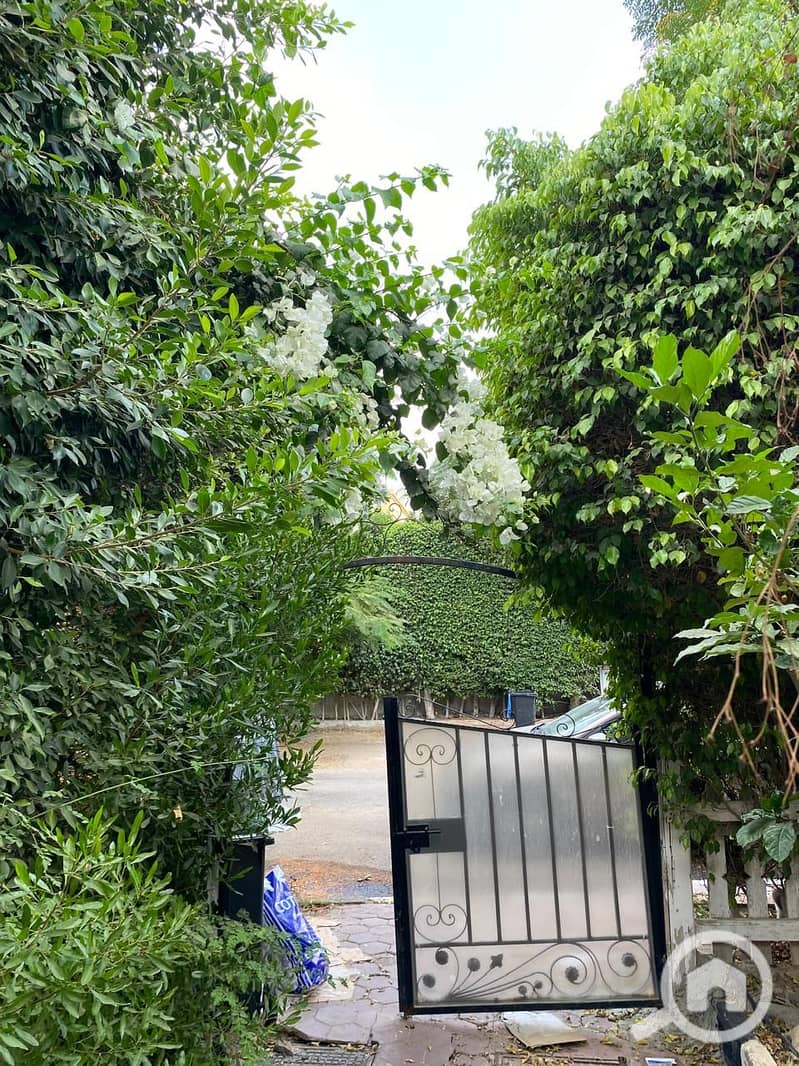 6 6a765638-6f24-4589-8598-0b31b5eef6e8. jpg