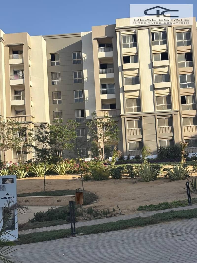 4 WhatsApp Image 2024-10-30 at 2.36. 16 PM (2). jpeg