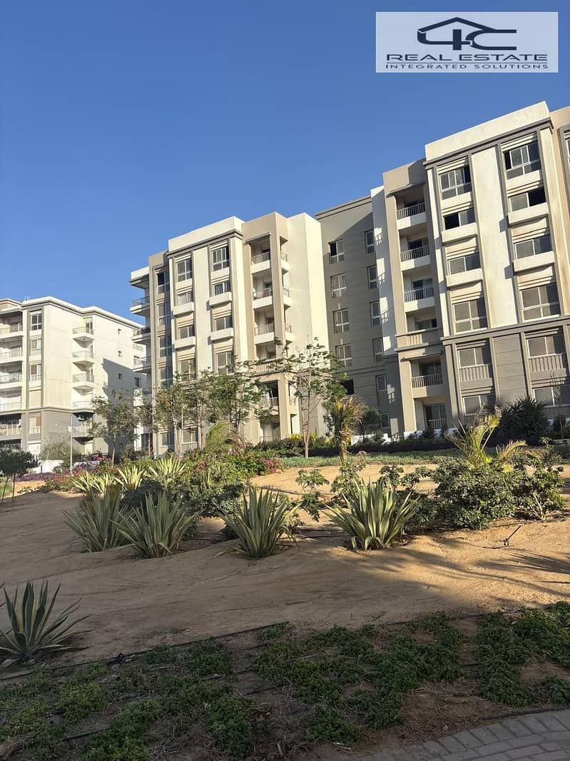 14 WhatsApp Image 2024-10-30 at 2.36. 50 PM. jpeg