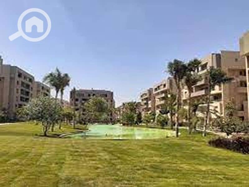 7 images (1) (1). jpg