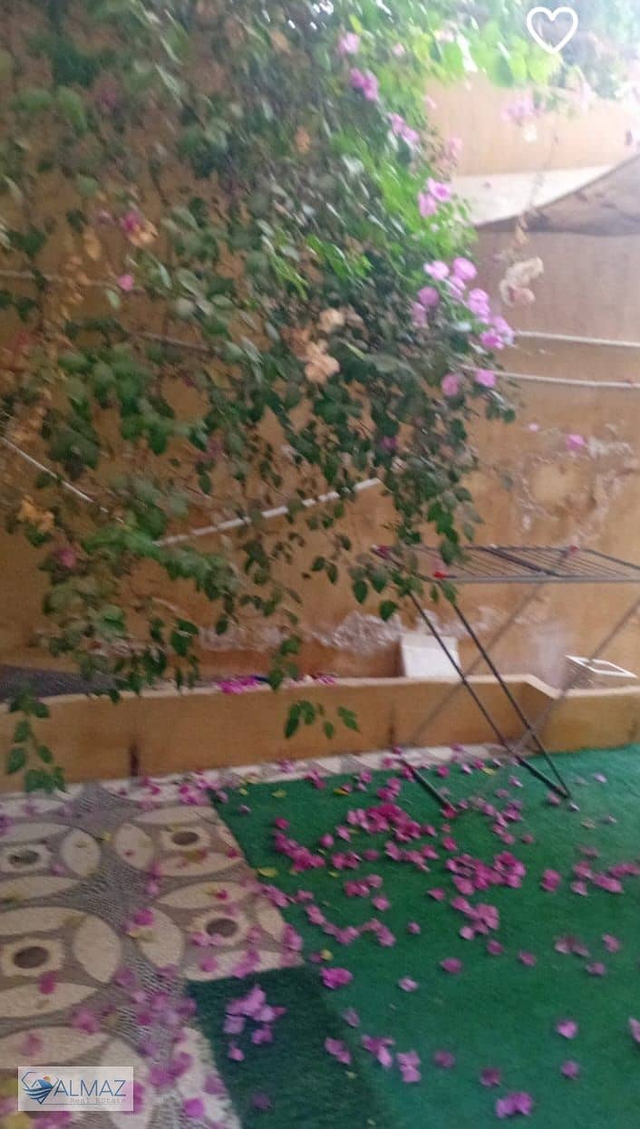 4 WhatsApp Image 2025-11-12 at 1.28. 34 PM (1). jpeg