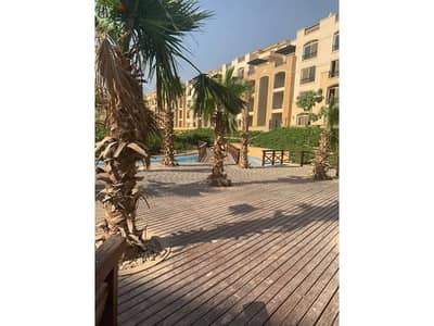4 Bedroom Flat for Sale in Katameya, Cairo - 148447231-800x600. jpg
