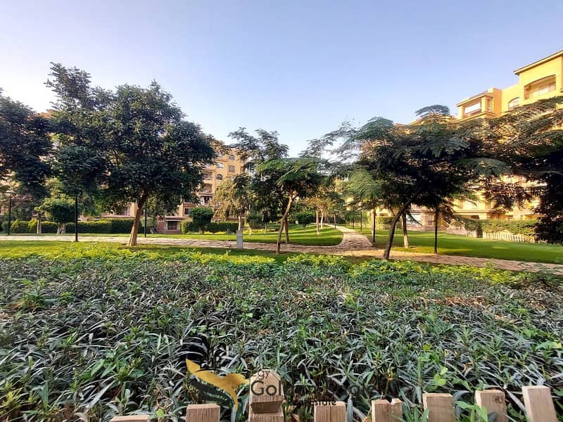 10 IMG-20251111-WA0125. jpg