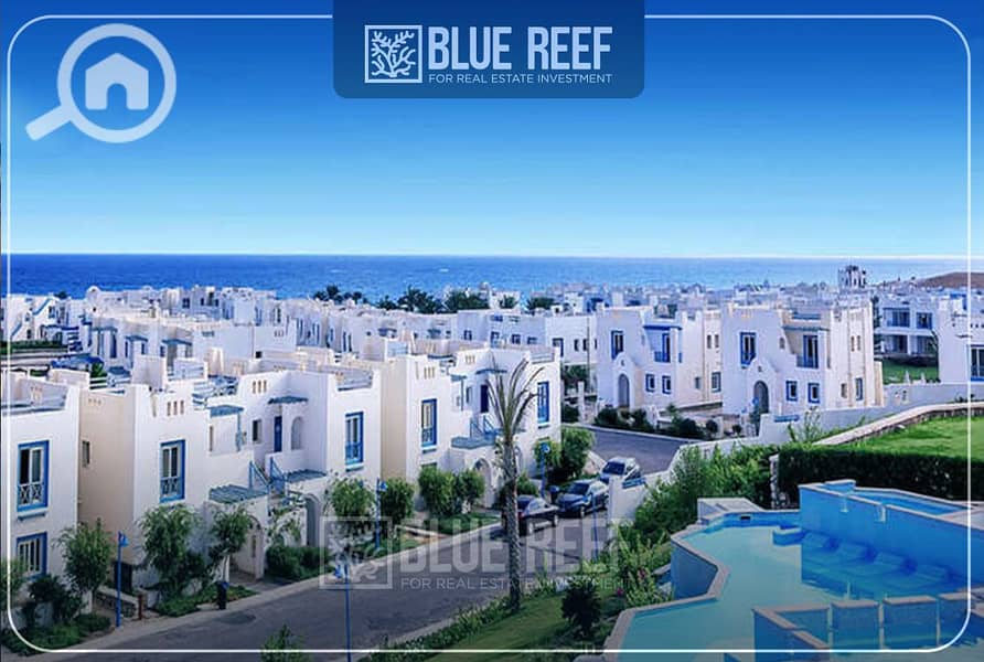 7 Bluereef - Templete. psdsdfcv (1)-Recovered. jpg