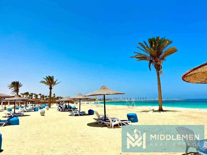 WhatsApp Image 2025-09-15 at 4.56. 29 PM (2). jpeg WhatsApp Image 2025-09-15 at 4.56. 29 PM (2). jpeg