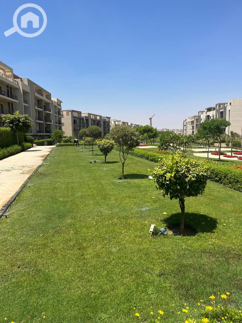 4 297021ea-7242-498e-bf7f-202463464181. jpg