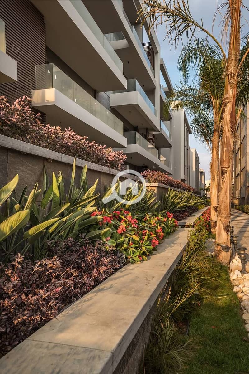 6 7205dda0-79e5-4fe6-90ac-0288f78a6e2a. jpg