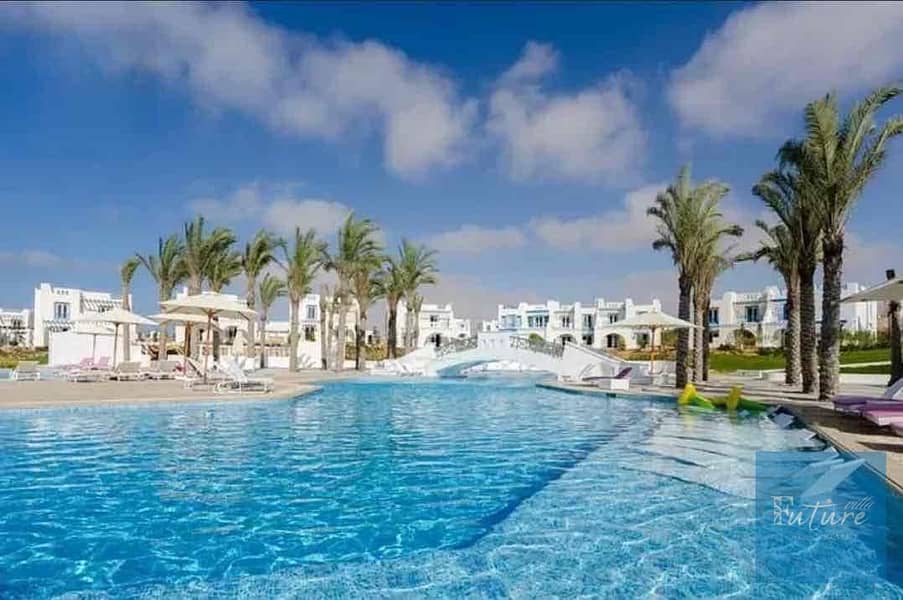 5 2510e766-c654-43e1-8fba-23e7fff4e02d. jpg